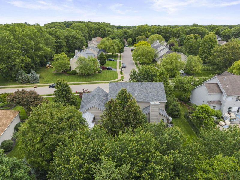 447 Ridge View Place, Powell, OH 43065 Photo 67