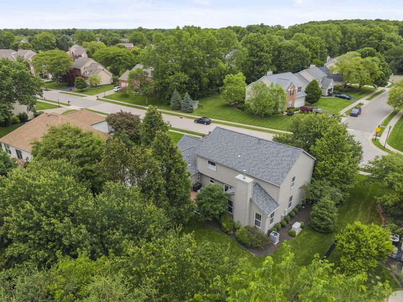 447 Ridge View Place, Powell, OH 43065 Photo 69