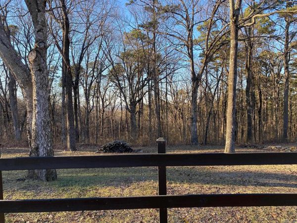 184 Dug Hill Road , Drasco, AR 72530
