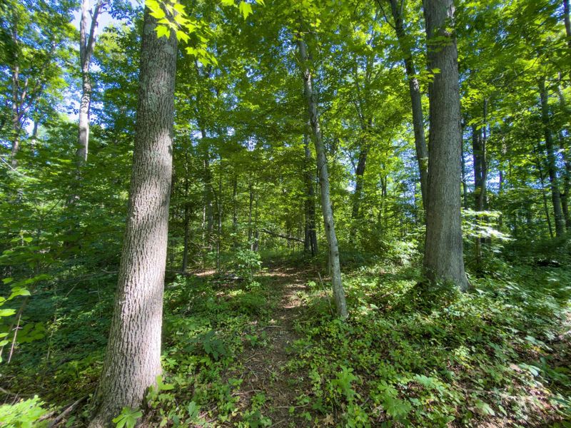 34827 State Route 93 , Hamden, OH 45634 Photo 29