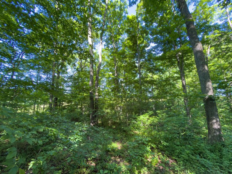 34827 State Route 93 , Hamden, OH 45634 Photo 30