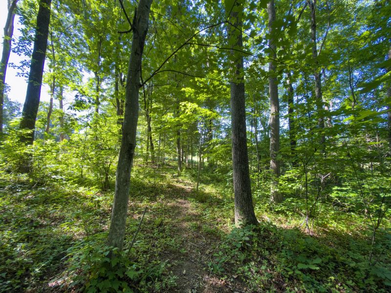 34827 State Route 93 , Hamden, OH 45634 Photo 33