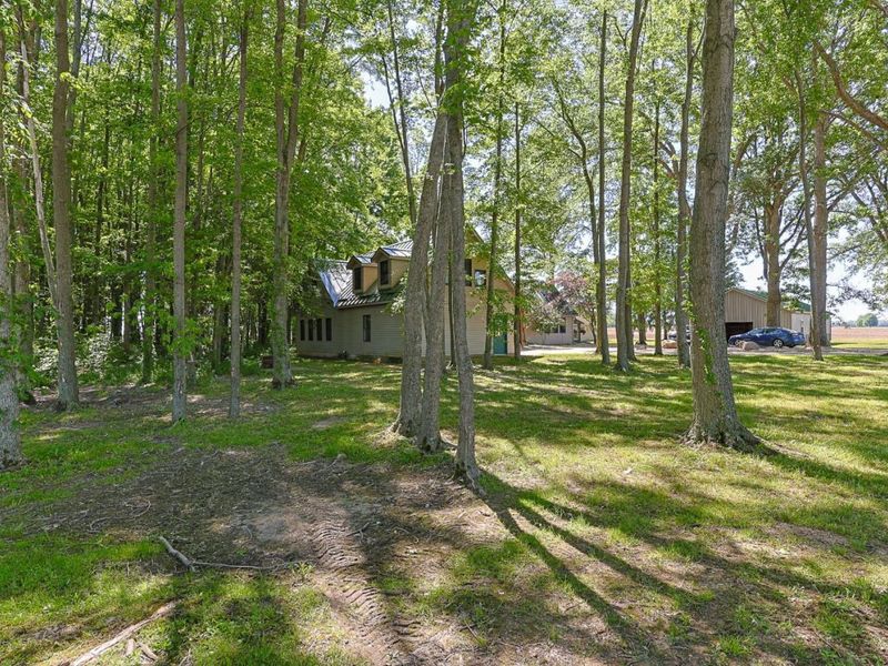 196 Greenwich East Townline Road, New London, OH 44851 Photo 57