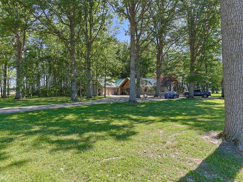 196 Greenwich East Townline Road, New London, OH 44851 Photo 7