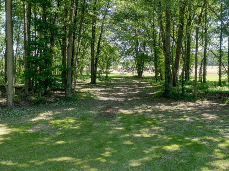 196 Greenwich East Townline Road, New London, OH 44851 Photo 82