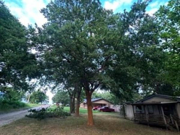 200 E Locust Street , Celeste, TX 75423
