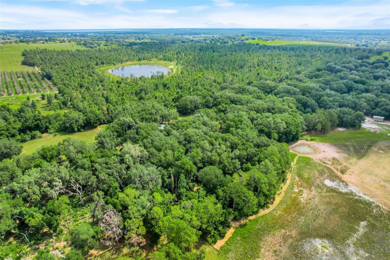 23449 Thomas Allen Road, Howey in the Hills, FL 34737 Photo