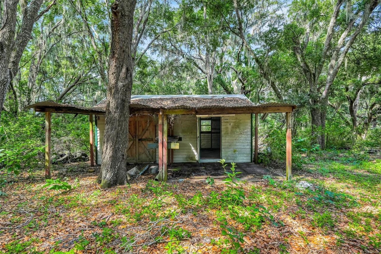 23449 Thomas Allen Road, Howey in the Hills, FL 34737 Photo