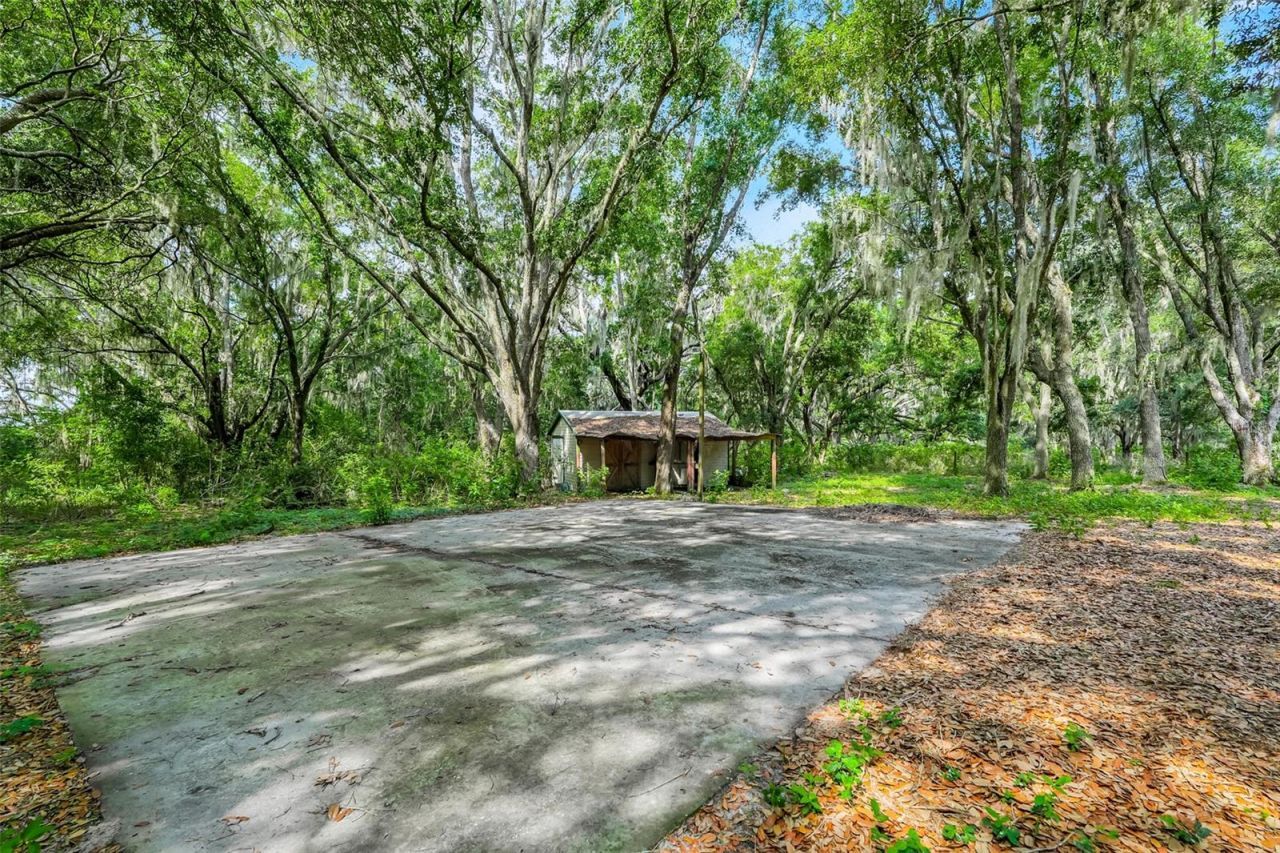 23449 Thomas Allen Road, Howey in the Hills, FL 34737 Photo