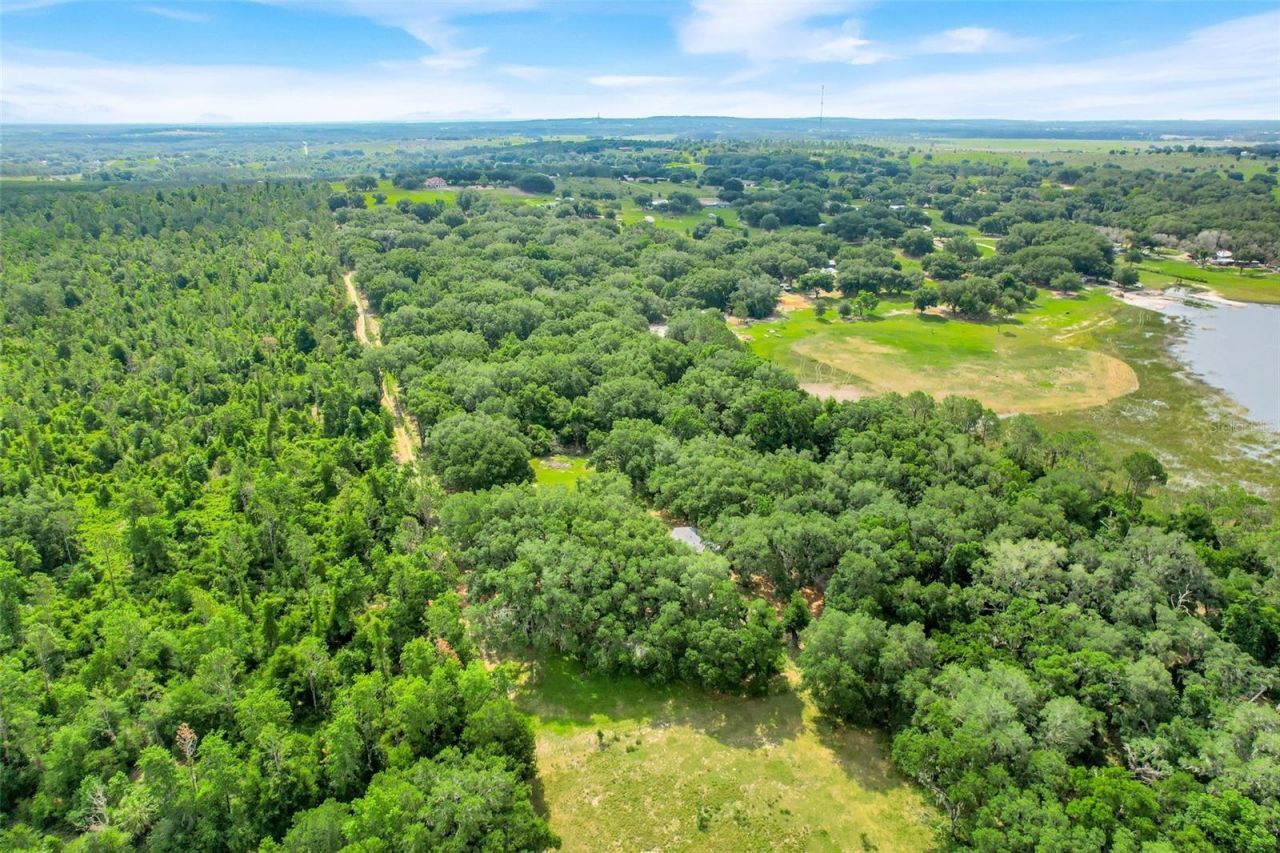23449 Thomas Allen Road, Howey in the Hills, FL 34737 Photo