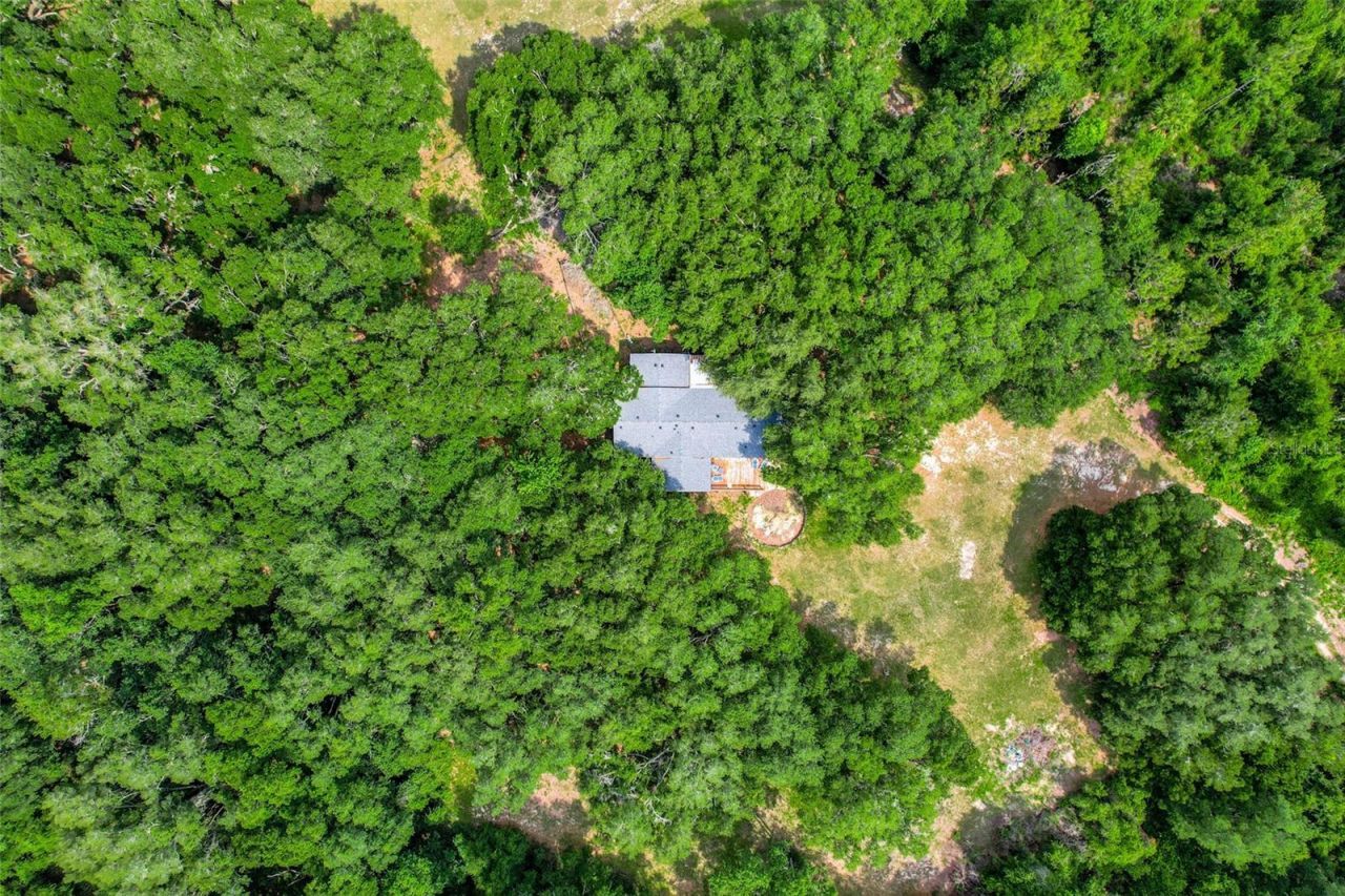 23449 Thomas Allen Road, Howey in the Hills, FL 34737 Photo