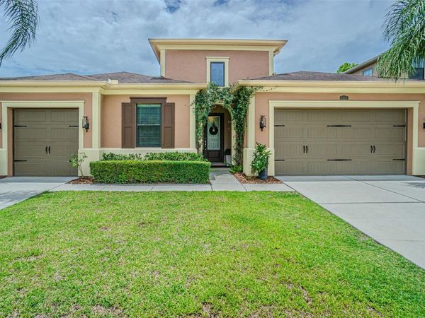 2616 MILFORD BERRY LANE , TAMPA, FL 33618