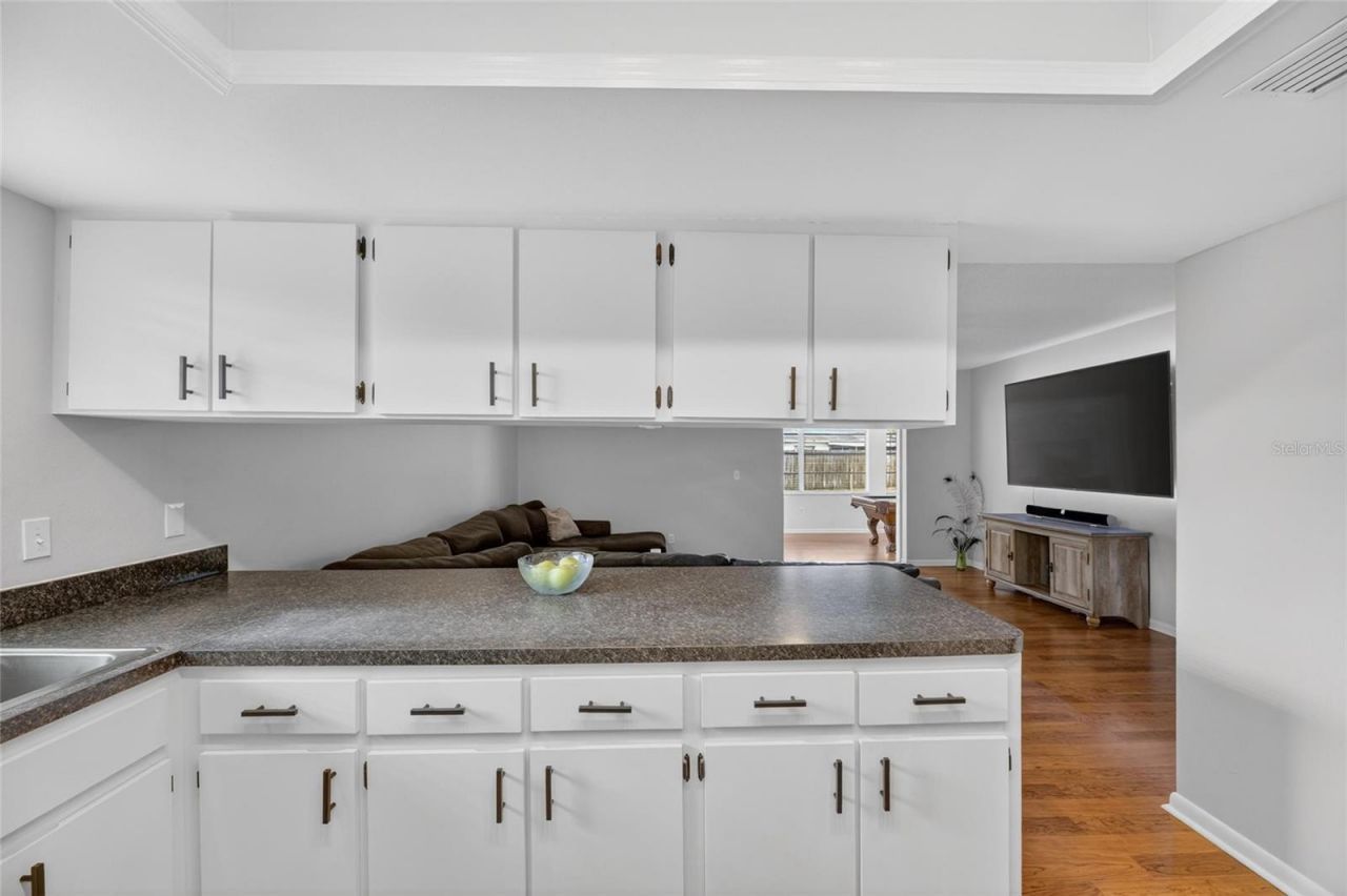 703 Isleton Drive , Brandon, FL 33511 Photo