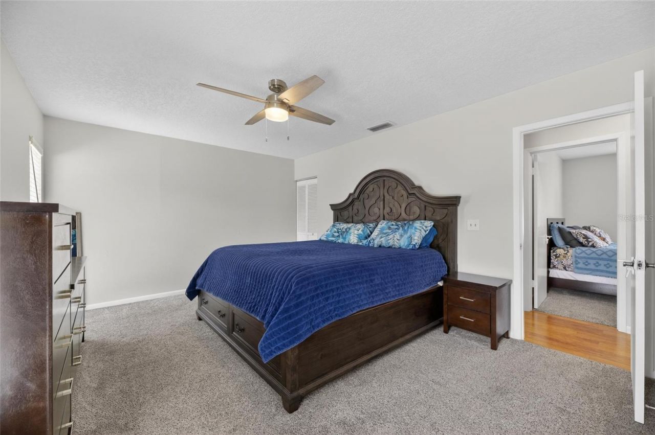 703 Isleton Drive , Brandon, FL 33511 Photo