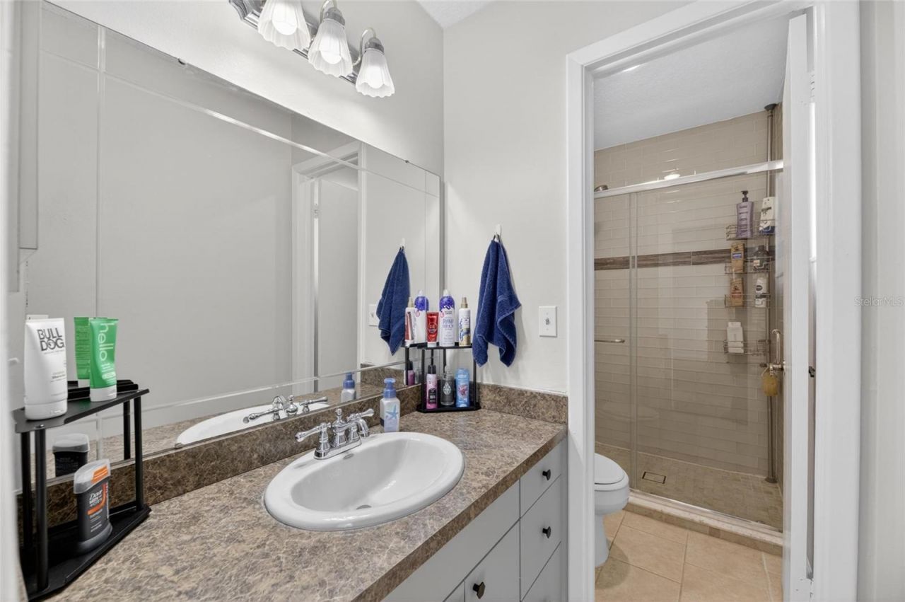 703 Isleton Drive , Brandon, FL 33511 Photo