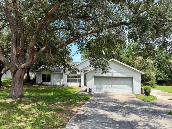 10258 JOANIES RUN , LEESBURG, FL 34788