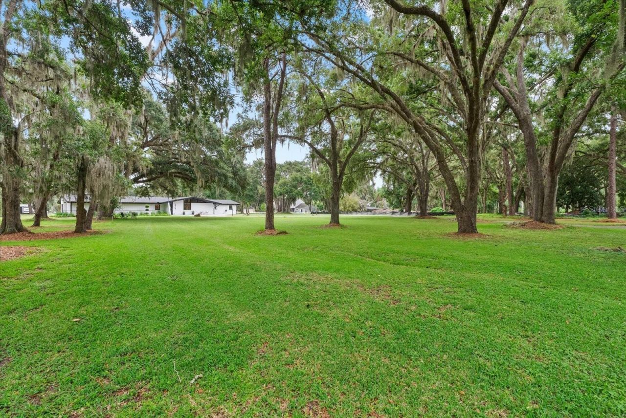 3518 Berger Road, Lutz, FL 33548 Photo