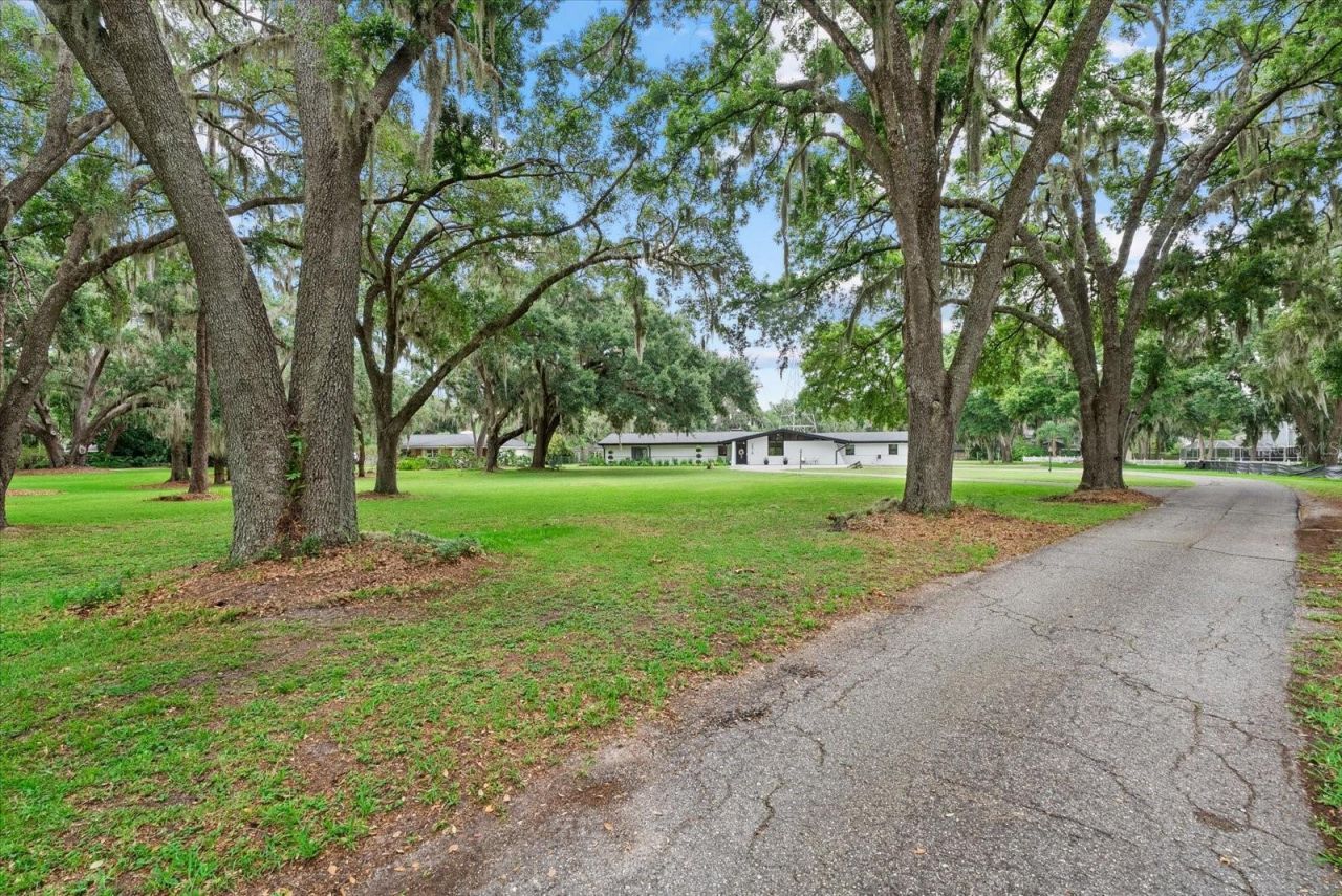 3518 Berger Road, Lutz, FL 33548 Photo