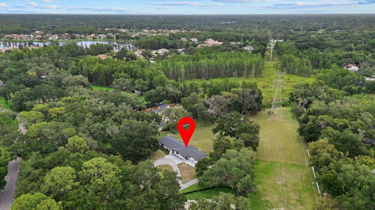 3518 Berger Road, Lutz, FL 33548 Photo