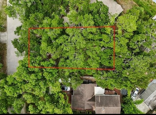 930 Montrose Boulevard N, Saint Petersburg, FL 33703 Photo