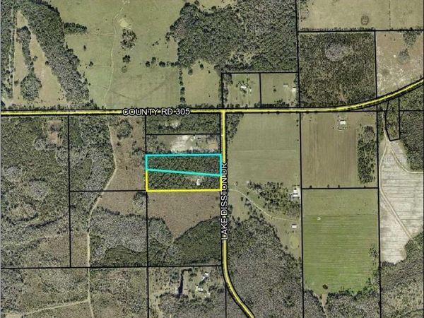 160 LAKE DISSTON DRIVE , BUNNELL, FL 32110