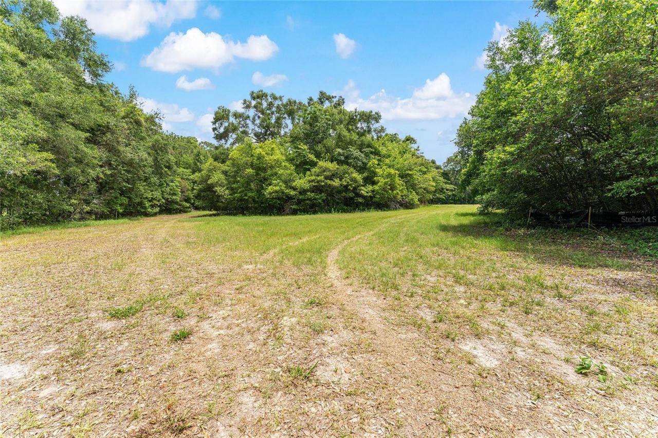 Tbd NW State Road 27/45 , Newberry, FL 32669 Photo
