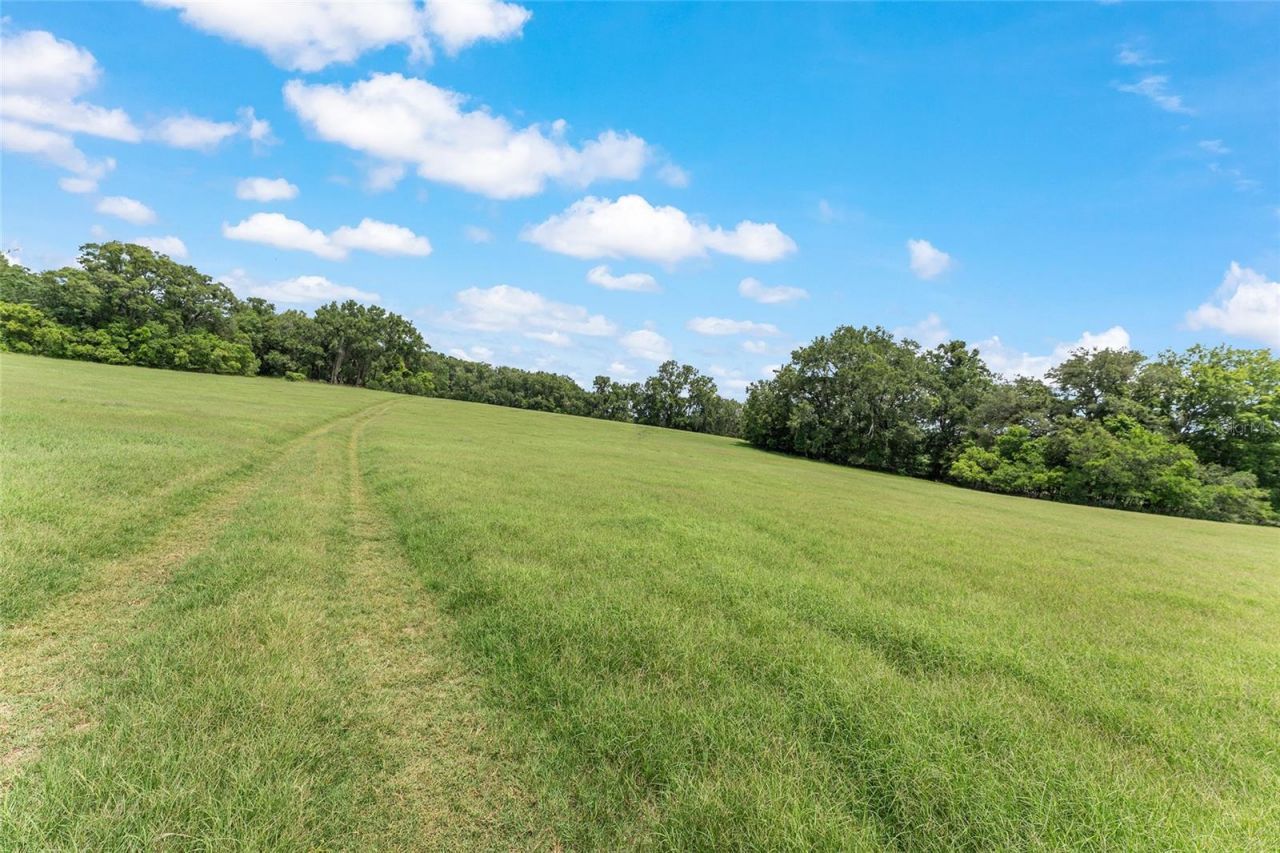 Tbd NW State Road 27/45 , Newberry, FL 32669 Photo