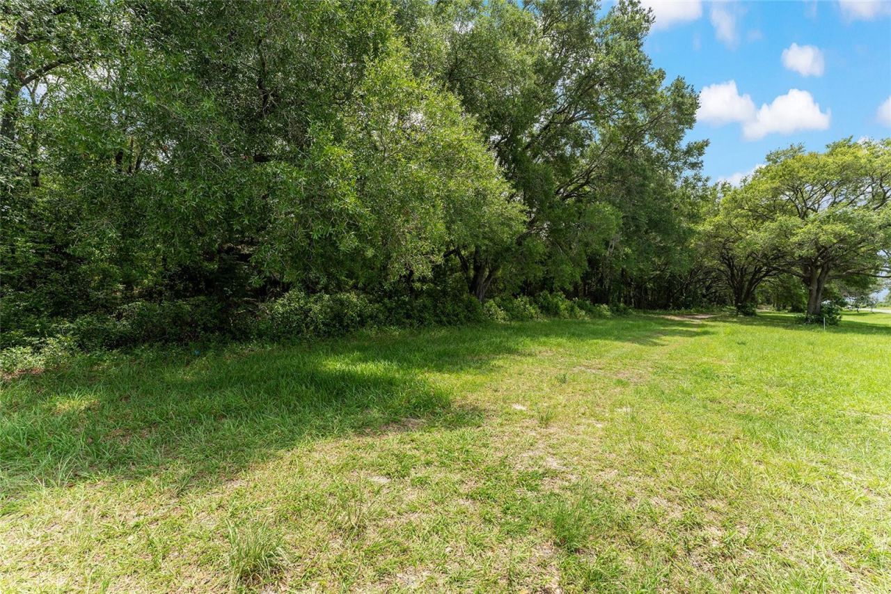 Tbd NW State Road 27/45 , Newberry, FL 32669 Photo