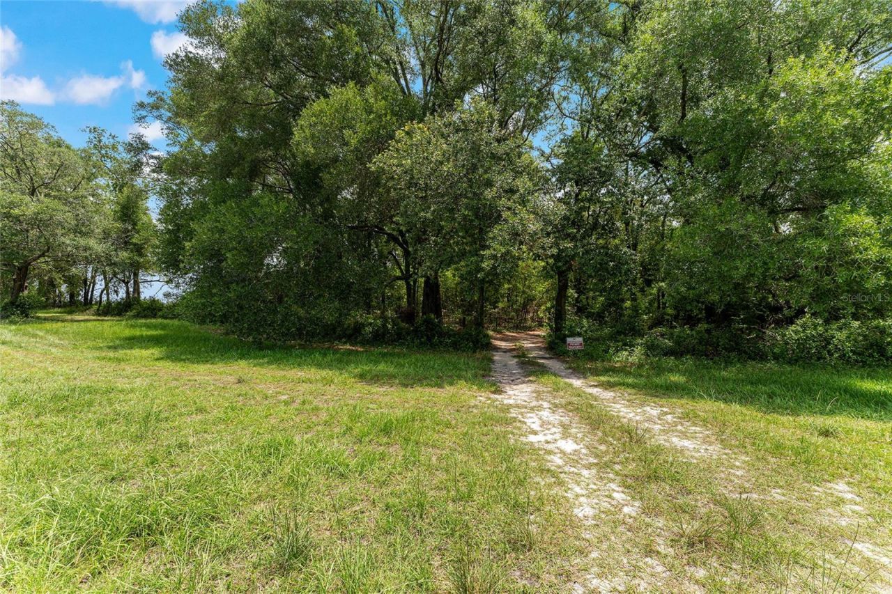 Tbd NW State Road 27/45 , Newberry, FL 32669 Photo
