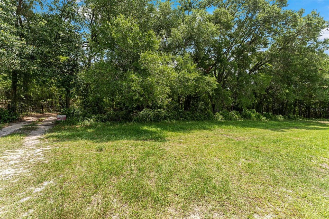 Tbd NW State Road 27/45 , Newberry, FL 32669 Photo