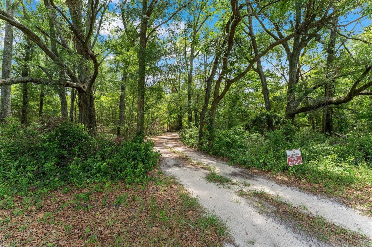 Tbd NW State Road 27/45 , Newberry, FL 32669 Photo