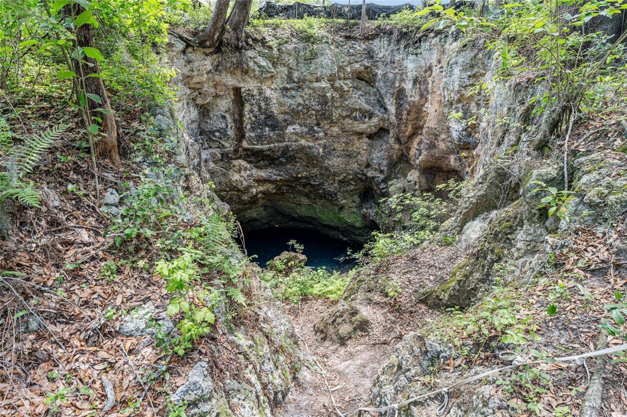 Tbd NW State Road 27/45 , Newberry, FL 32669 Photo