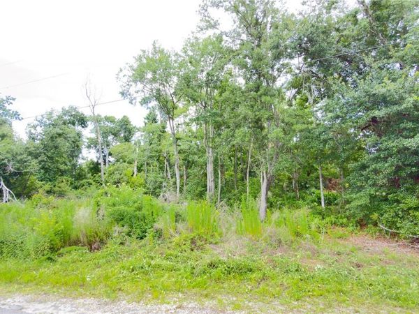 7402 LAND DRIVE , WESLEY CHAPEL, FL 33545