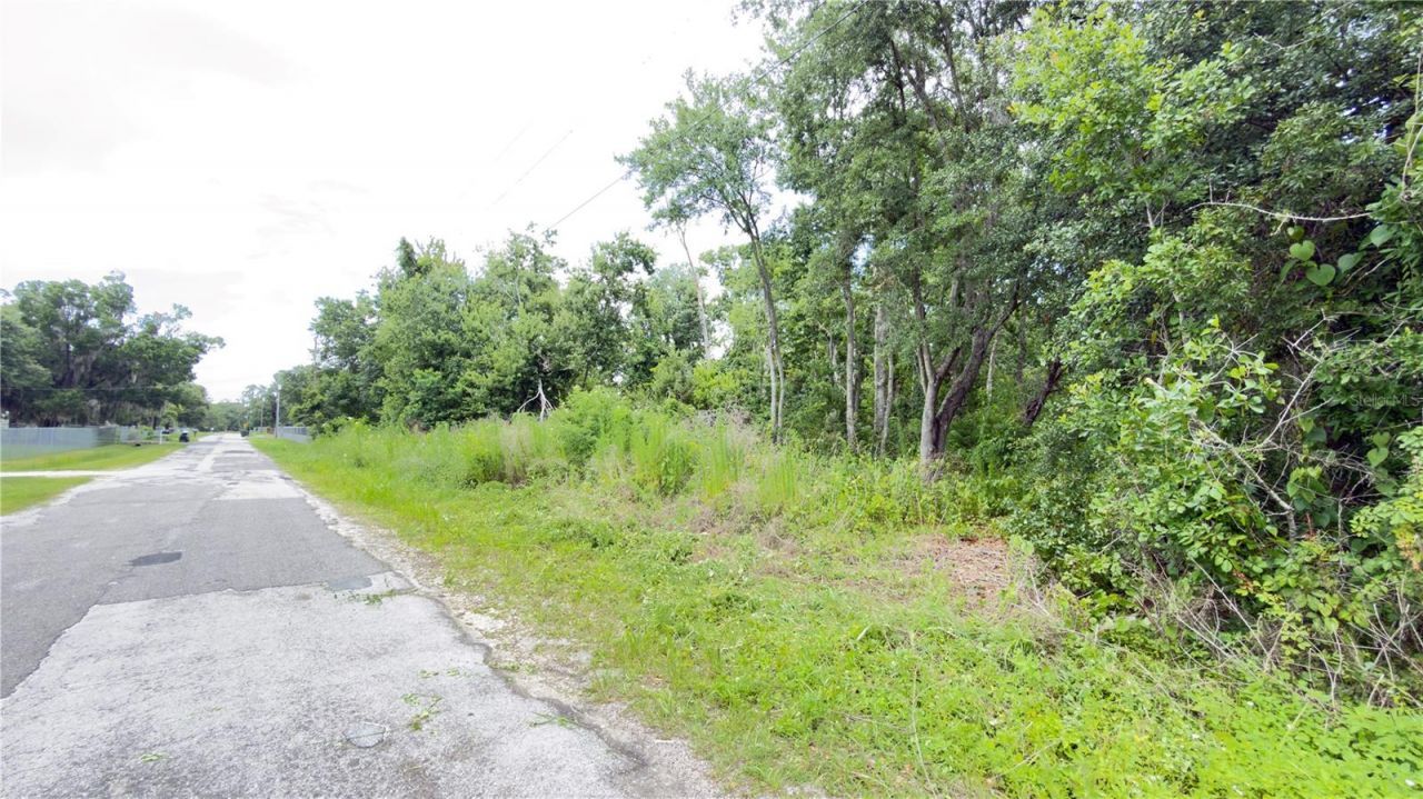 7402 Land Drive , Wesley Chapel, FL 33545 Photo