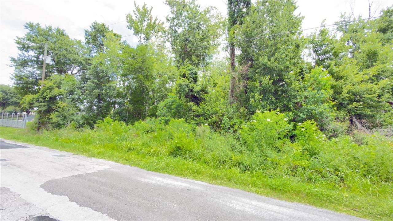 7402 Land Drive , Wesley Chapel, FL 33545 Photo