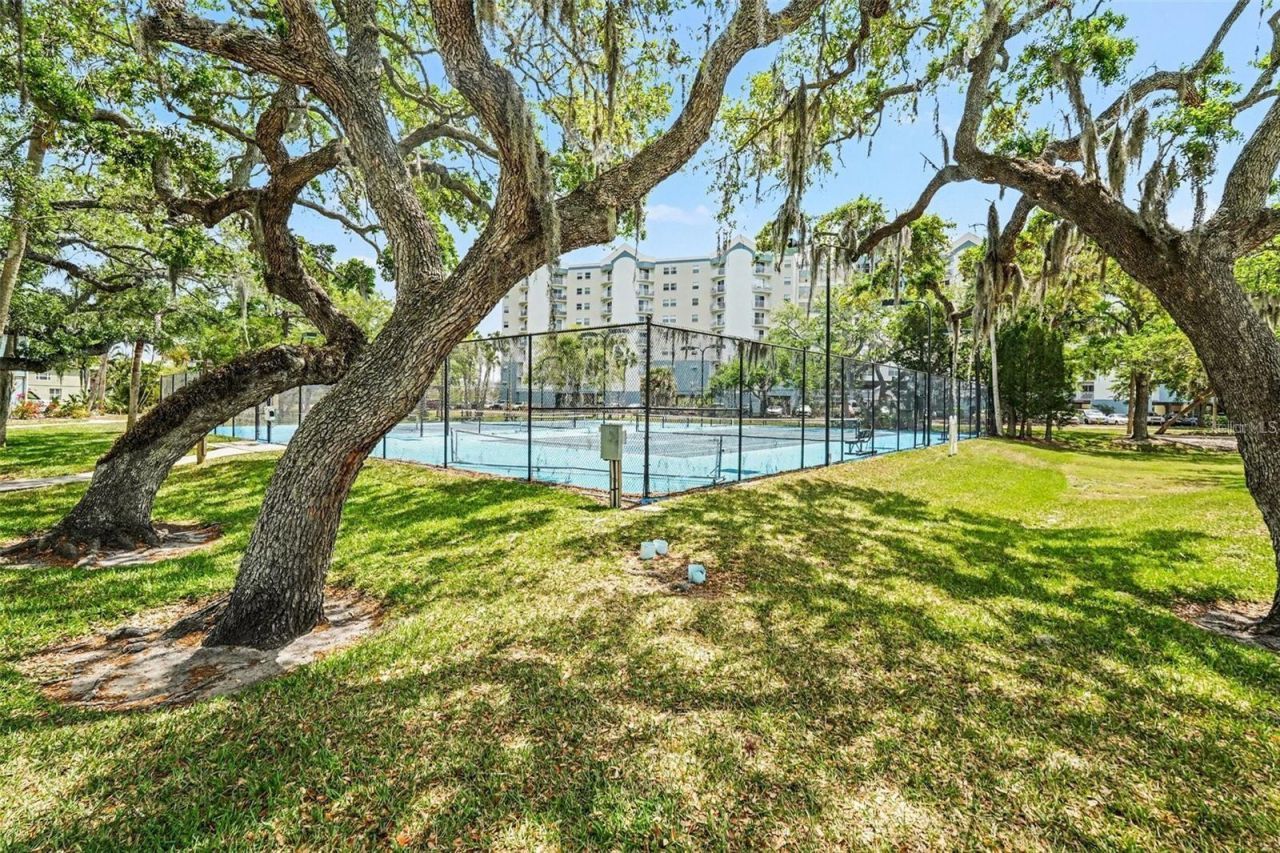 5567 Sea Forest Drive, Unit 324, New Port Richey, FL 34652 Photo