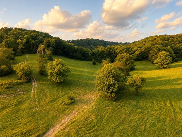 5185 Old Harding Rd, Franklin, TN 37064