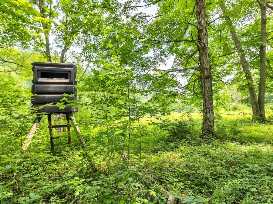 Property Image 35