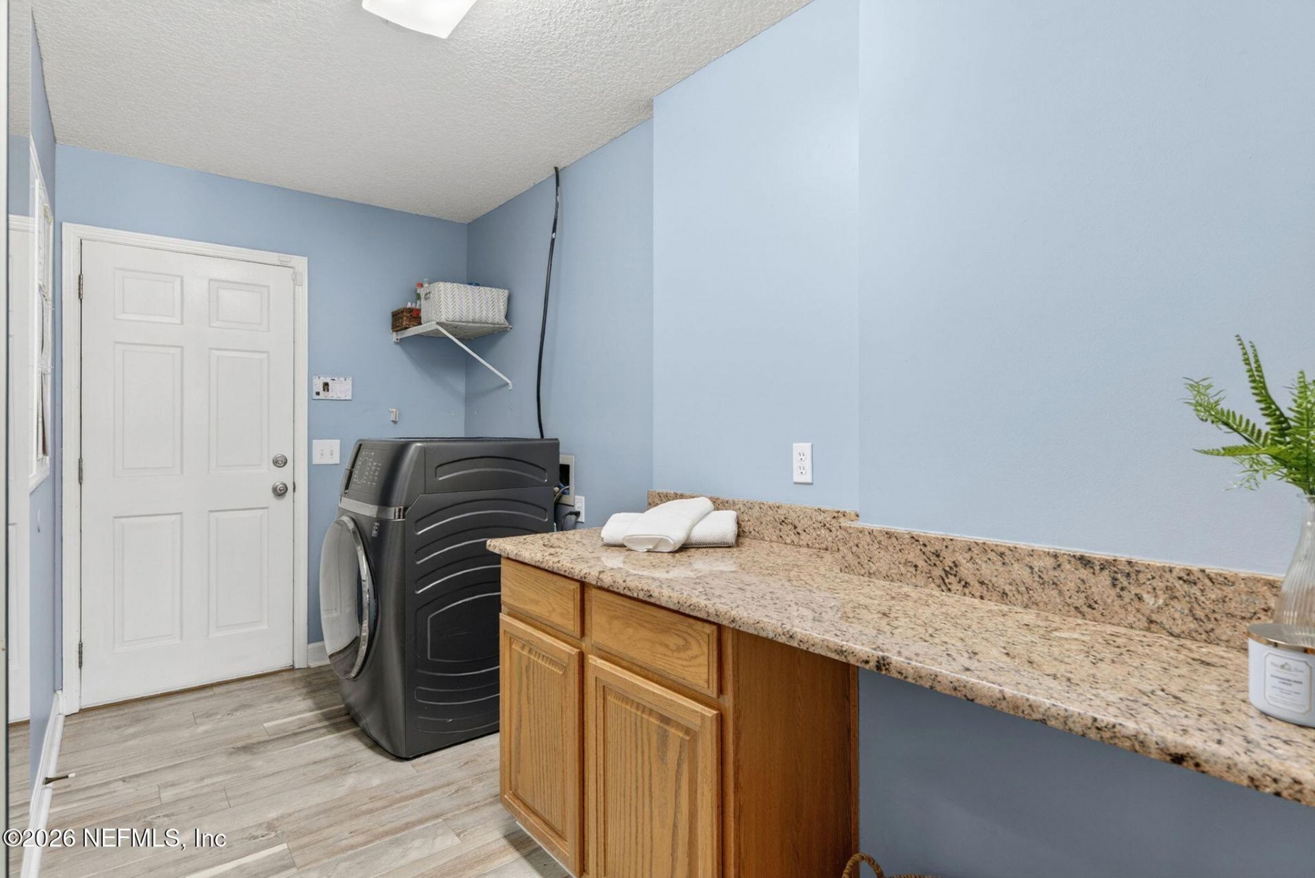 10224 Hamlet Glen Drive, Jacksonville, FL 32221 Photo