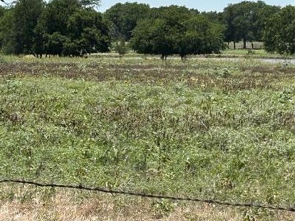 1170 Airport Road , Tioga, TX 76271