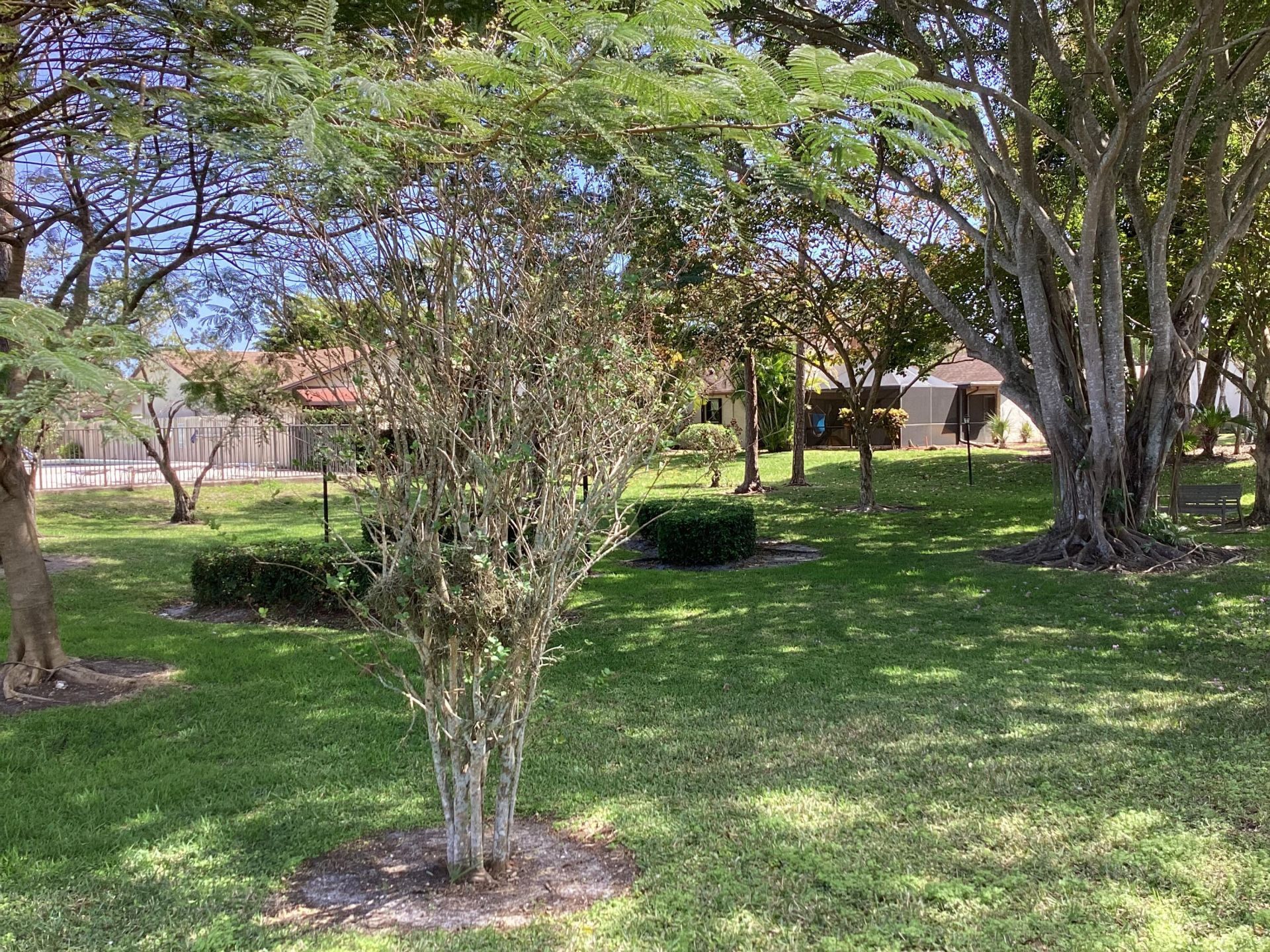 8895 Old Pine Road, Boca Raton, FL 33433 Photo