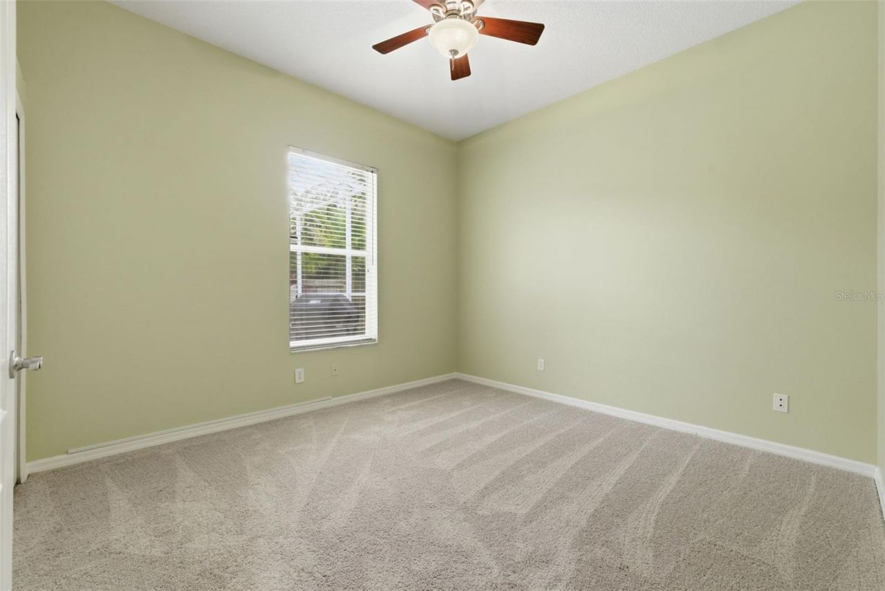 11902 Wandsworth Drive, Tampa, FL 33626 Photo