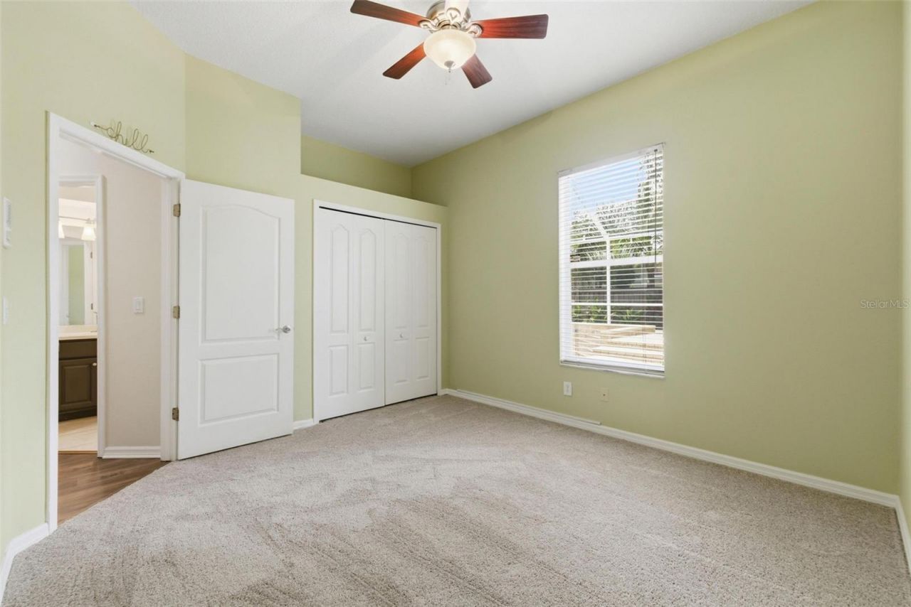 11902 Wandsworth Drive, Tampa, FL 33626 Photo