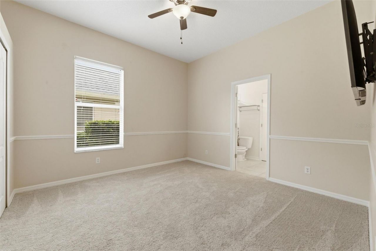 11902 Wandsworth Drive, Tampa, FL 33626 Photo
