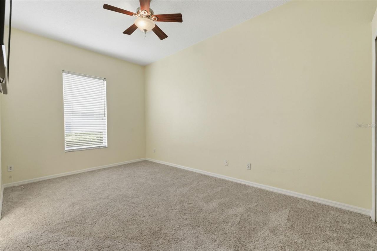 11902 Wandsworth Drive, Tampa, FL 33626 Photo