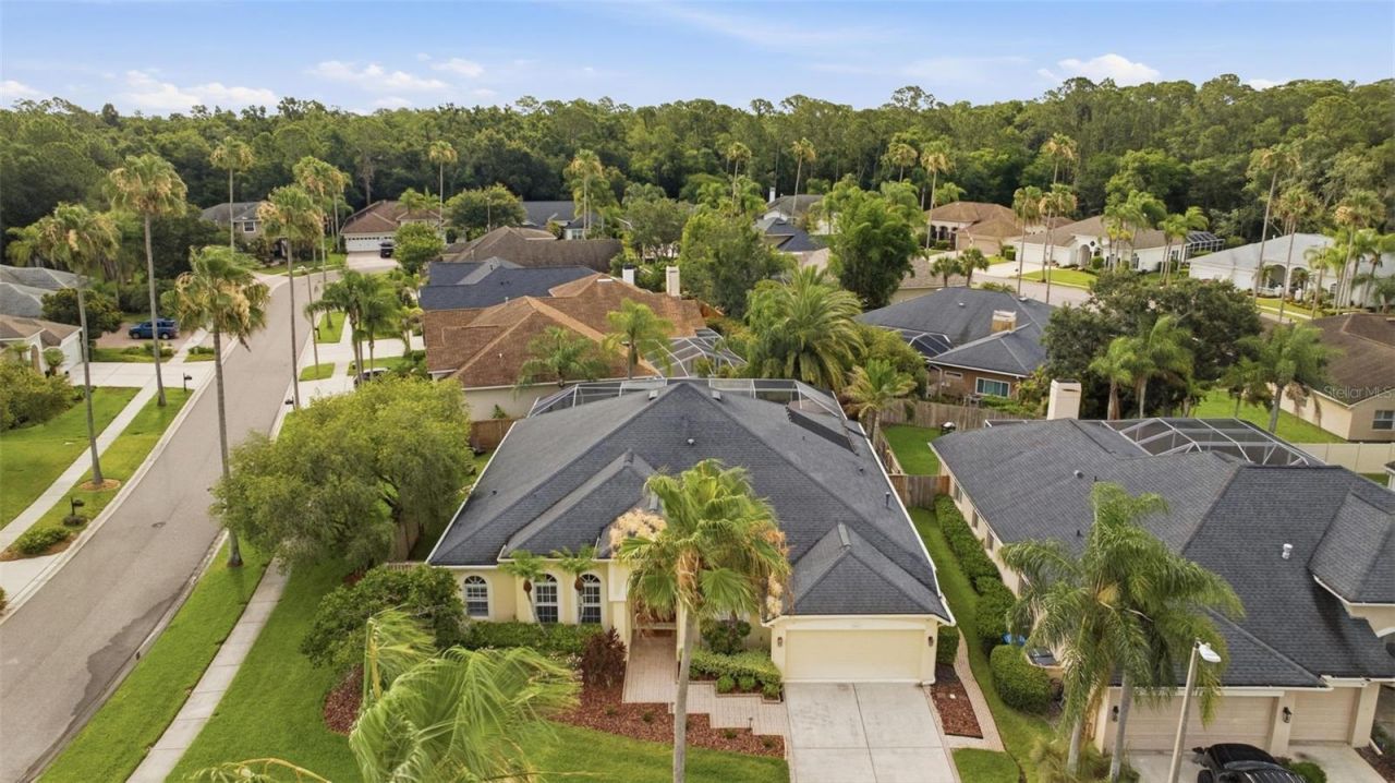 11902 Wandsworth Drive, Tampa, FL 33626 Photo