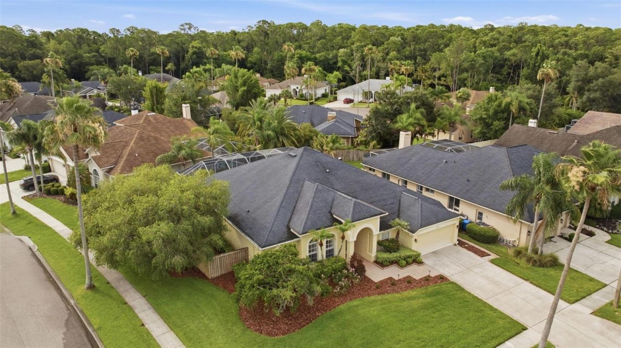 11902 Wandsworth Drive, Tampa, FL 33626 Photo