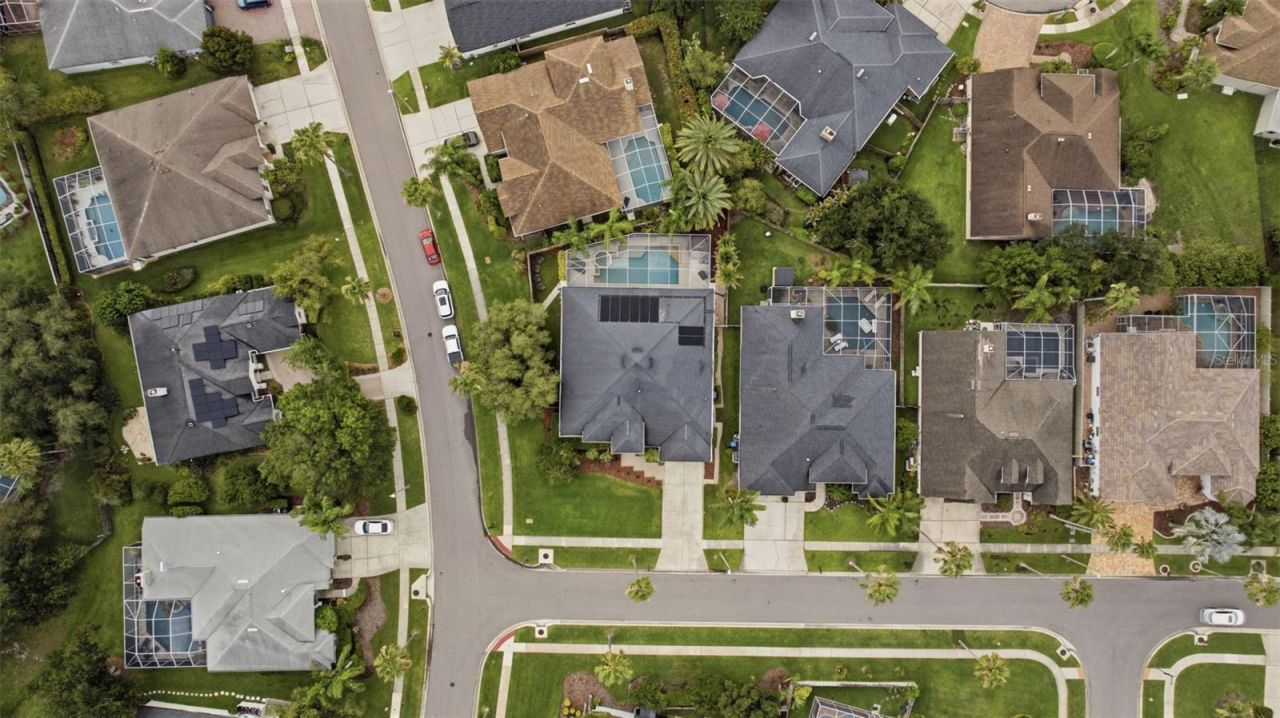 11902 Wandsworth Drive, Tampa, FL 33626 Photo