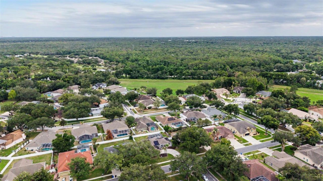 4021 Lithia Ridge Boulevard, Valrico, FL 33596 Photo