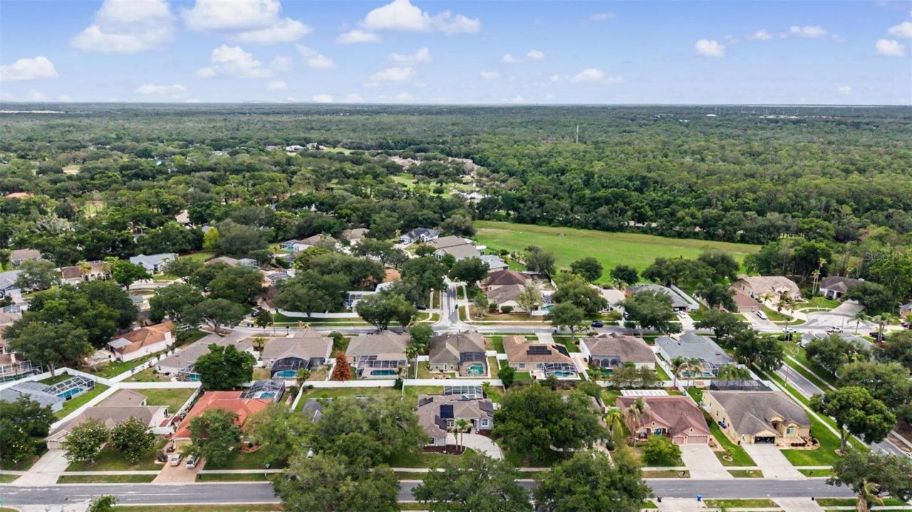 4021 Lithia Ridge Boulevard, Valrico, FL 33596 Photo